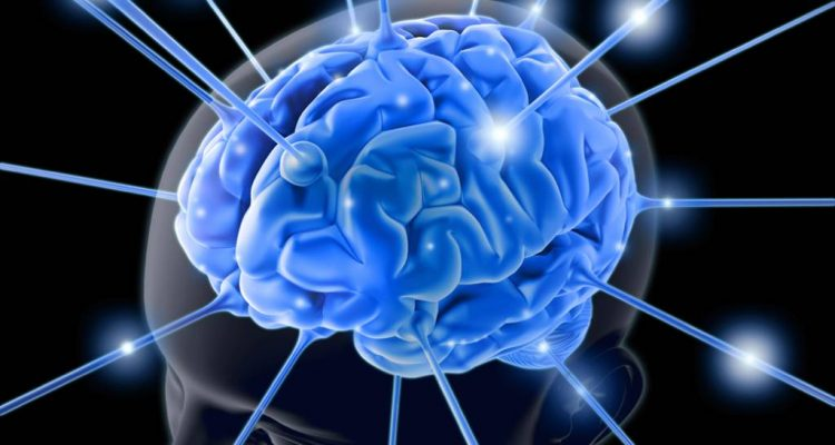 Descubra/o/que/é/Neurociência/Aplicada/à/Psicologia